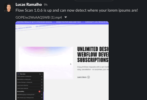 Flow Scan โ Webflow Site Auditor